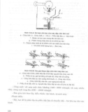 Bào chế và sinh dược học part 6