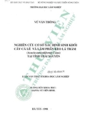 Luận văn Thạc sĩ Khoa học lâm nghiệp: Nghiên cứu cơ sở xác định sinh khối cây Cá lẻ và lâm phần Keo lá tràm (Acacia auriculiformis Cunn) tại tỉnh Thái Nguyên