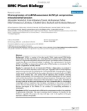 báo cáo khoa học: Overexpression of mtDNA-associated AtWhy2 compromises mitochondrial function