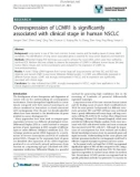 báo cáo khoa học: Overexpression of LCMR1 is significantly associated with clinical stage in human NSCLC