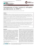 Báo cáo y học: Overexpression of Insig-1 protects b cell against glucolipotoxicity via SREBP-1c