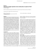 Báo cáo khoa học: A Reactive oxygen species: toxic molecules or spark of life