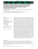 Báo cáo khoa học: Autophagy inhibits reactive oxygen species-mediated apoptosis via activating p38-nuclear factor-kappa B survival pathways in oridonin-treated murine ﬁbrosarcoma L929 cells