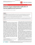 Báo cáo y học: Viral trans-factor independent replication of human papillomavirus genomes