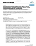 Báo cáo y học: Contribution of the C-terminal tri-lysine regions of human immunodeficiency virus type 1 integrase for efficient reverse transcription and viral DNA nuclear import