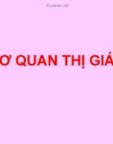 Bài giảng Cơ quan thị giác - Lê Hồng Thịnh