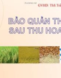 Báo cáo: Bảo quản thóc sau thu hoach