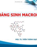 Bài giảng Kháng sinh macrolid