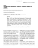 Báo cáo y học: Clinical review: Bacteremia caused by anaerobic bacteria in children