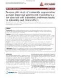 Báo cáo y học: An open pilot study of zonisamide augmentation in major depressive patients not responding to a low dose trial with duloxetine: preliminary results on tolerability and clinical effects