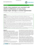 Báo cáo y học: Zangfu zheng (patterns) are associated with clinical manifestations of zang shang (target-organ damage) in arterial hypertension