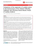 Báo cáo y học: Comparison of the expression of cytokine genes in the bursal tissues of the chickens following challenge with infectious bursal disease viruses of varying virulence