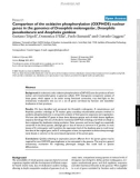 Báo cáo y học: Comparison of the oxidative phosphorylation (OXPHOS) nuclear genes in the genomes of Drosophila melanogaster, Drosophila pseudoobscura and Anopheles gambiae