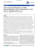 Báo cáo y học: Acute mucosal pathogenesis of feline immunodeficiency virus is independent of viral dose in vaginally infected cats