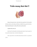 Tuần mang thai thứ 5