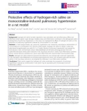 Báo cáo y học: Protective effects of hydrogen-rich saline on monocrotaline-induced pulmonary hypertension in a rat model