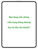 Bạn đang mắc chứng viêm họng thông thường hay do liên cầu khuẩn?