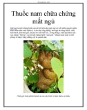 Thuốc nam chữa chứng mất ngủ