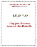 LUẬN VĂN: Tổng quan về cấu trúc mạng cảm nhận không dây