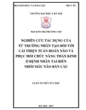 Luận án tiến sĩ Y học: Nghiên cứu tác dụng của từ trường nhân tạo đối với cải thiện tuần hoàn não và phục hồi chức năng thần kinh ở bệnh nhân tai biến nhồi máu não bán cầu