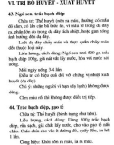 557 bài thuốc dân gian gia truyền - Phần 2