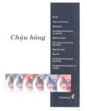 Atlas giải phẫu người - Phần chậu hông (Phần 1)