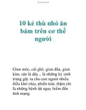 10 kẻ thù nhỏ ăn bám trên cơ thể người