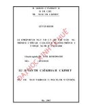 Luận văn Thạc sỹ Khoa học kinh tế: Giải pháp huy động vốn đầu tư thực hiện Chương trình mục tiêu quốc gia xây dựng nông thôn mới tỉnh Quảng Trị đến năm 2020