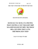 Luận văn Thạc sĩ Y học: Đánh giá tác dụng của phương pháp chườm lá Ngũ trảo kết hợp Xoa bóp bấm huyệt điều trị thoái hóa cột sống thắt lưng thể phong hàn thấp