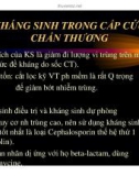 Sơ cứu và cấp cứu chấn thương trước khi đến viện (Phần 6)