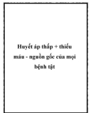 Huyết áp thấp + thiếu máu - nguồn gốc của mọi bệnh tật