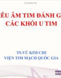 Siêu âm tim đánh giá các khối u tim - Vũ Kim Chi