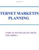 Thuyết trình: Internet Marketing Planning