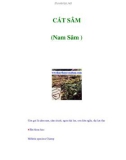 CÁT SÂM (Nam Sâm )