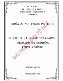 Khóa luận tốt nghiệp Kinh tế và phát triển: Hiệu quả đầu tư sản xuất cây cao su trên địa bàn huyện Nam Đông, tỉnh Thừa Thiên Huế