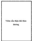 Bệnh cầu thận đái tháo đường