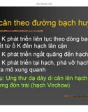 Giải phẫu bệnh - Ung thư part 4