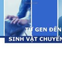 Bài thuyết trình: Từ gen đến sinh vật chuyển gen