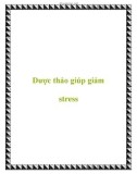 Dược thảo giúp giảm stress