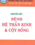 Các bệnh thường gặp ở hệ thần kinh và cột sống