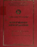 Khóa luận tốt nghiệp: Đầu tư trực tiếp nước ngoài của Mỹ vào Việt Nam: thực trạng và triển vọng