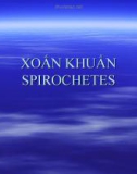 XOẮN KHUẨN SPIROCHETES