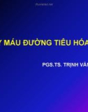 Bài giảng Chảy máu đường tiêu hóa trên - PGS. TS. Trịnh Văn Tuấn