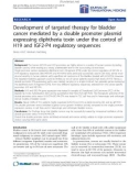 Báo cáo hóa học: Development of targeted therapy for bladder cancer mediated by a double promoter plasmid expressing diphtheria toxin under the control of H19 and IGF2-P4 regulatory sequences