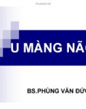 Bài giảng U màng não - BS. Phùng Văn Đức