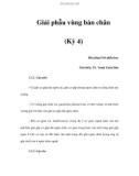 Giải phẫu vùng bàn chân (Kỳ 4)