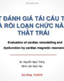 Bài giảng CHT đánh giá tái cấu trúc và rối loạn chức năng thất trái - Bs. Nguyễn Ngọc Tráng