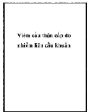 Viêm cầu thận cấp do nhiễm liên cầu khuẩn