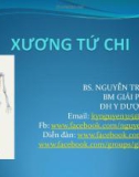 Bài giảng Xương tứ chi - BS. Nguyễn Trường Kỳ