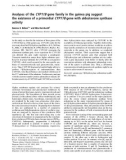 Báo cáo Y học: Analyses of the CYP11B gene family in the guinea pig suggest the existence of a primordial CYP11B gene with aldosterone synthase activity